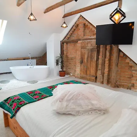 Bed and breakfast Agropensiunea Maria Harseni